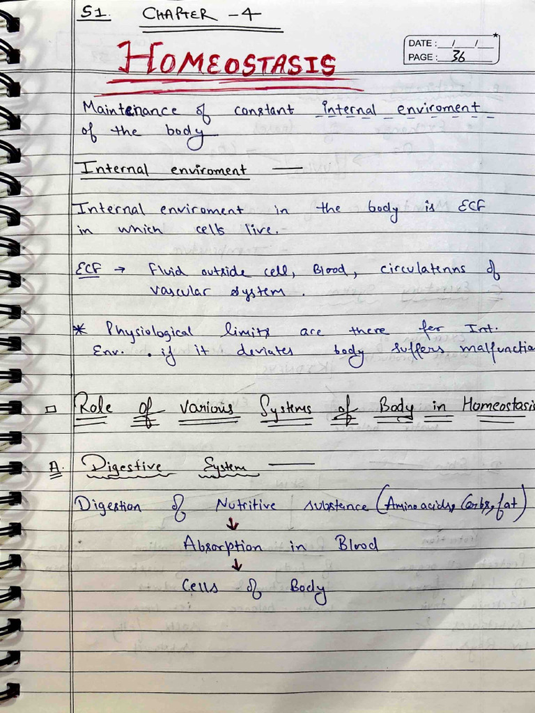CH 4 Sec 1 Homeostasis | PDF