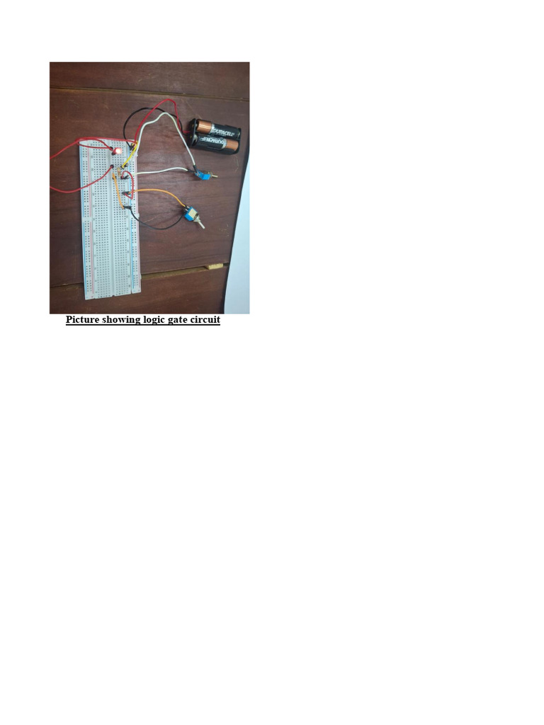 Appendix | PDF