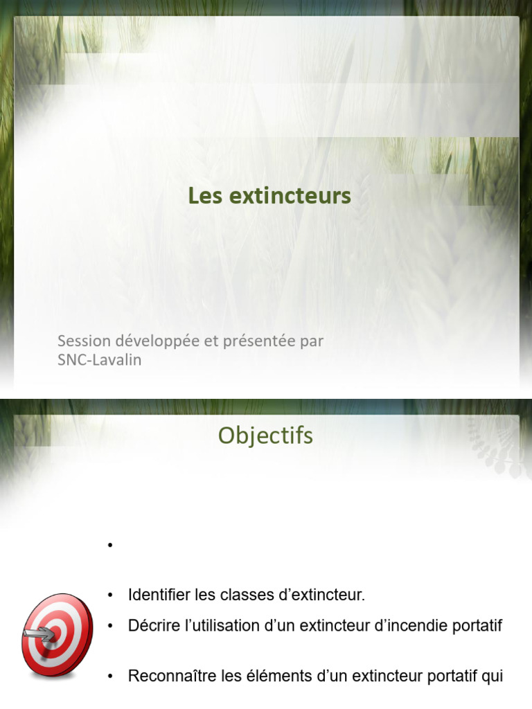 Les Extincteurs | PDF | Matériaux | Feu