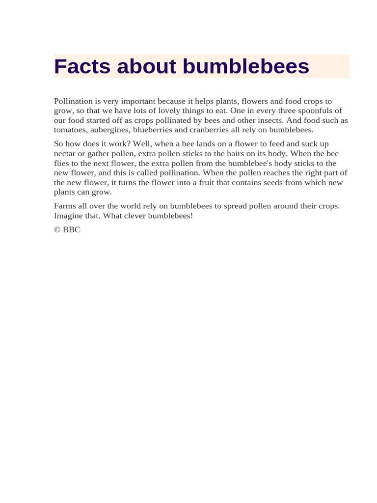 Facts About Bumblebees | PDF