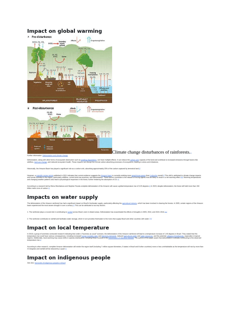 Impact on Global Warming | PDF | Amazon Rainforest | Deforestation