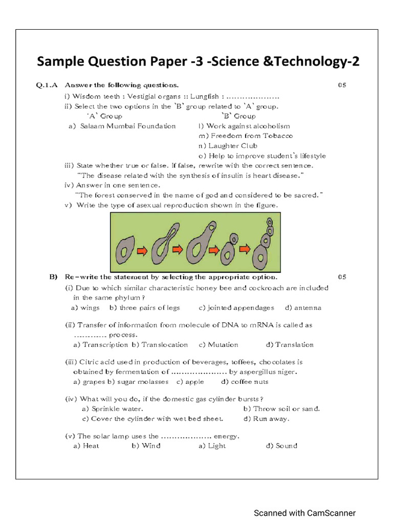 Kitabcd Sample QP Set Science-1 and 2 | PDF