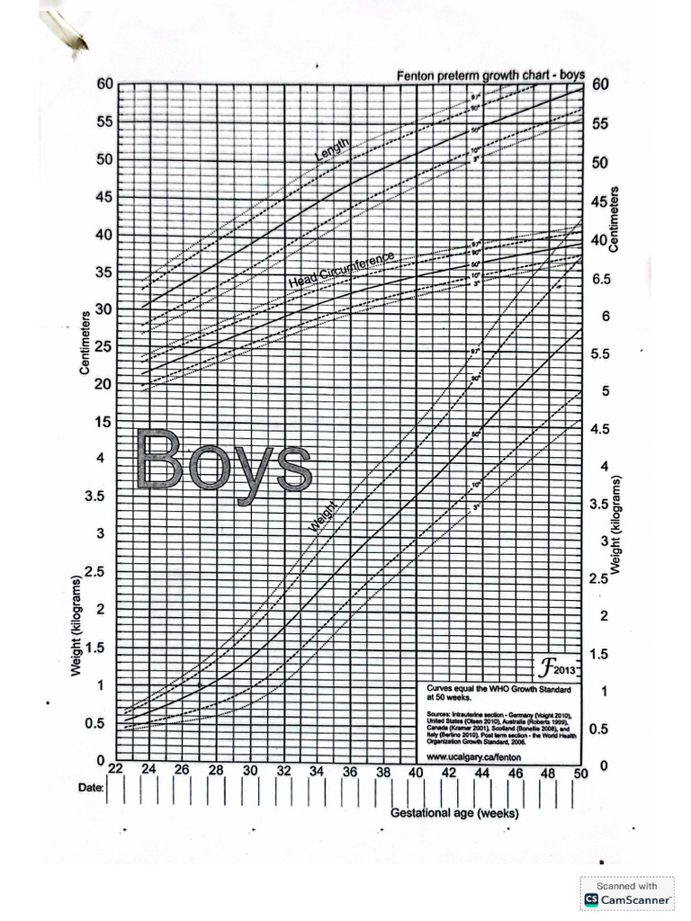 Anthropometry | PDF