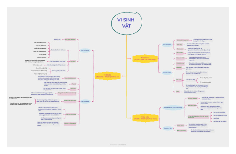 Vi Sinh Vật Mind Map | PDF