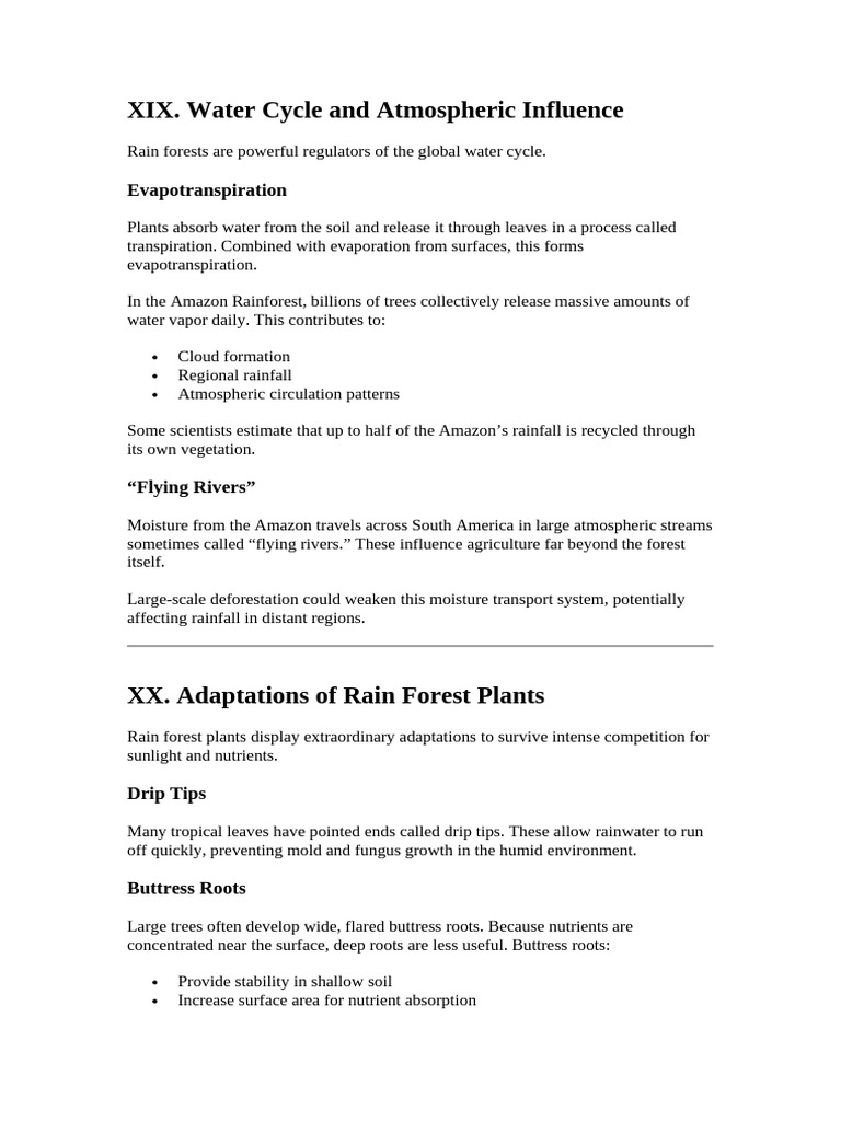 Rainforests 6 | PDF | Rainforest | Forests