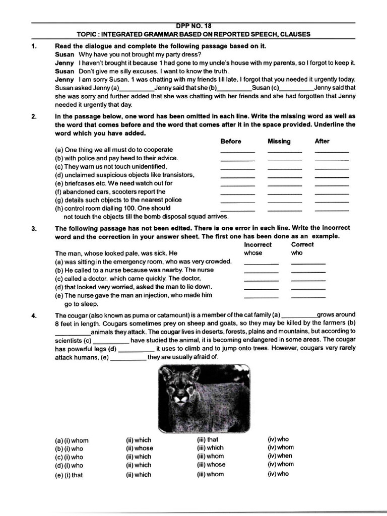 DPP Reported Speech, Clauses With Answer Key | PDF