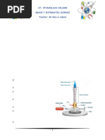 Bunsen Burner Lab Technique Guide | PDF | Combustion | Valve