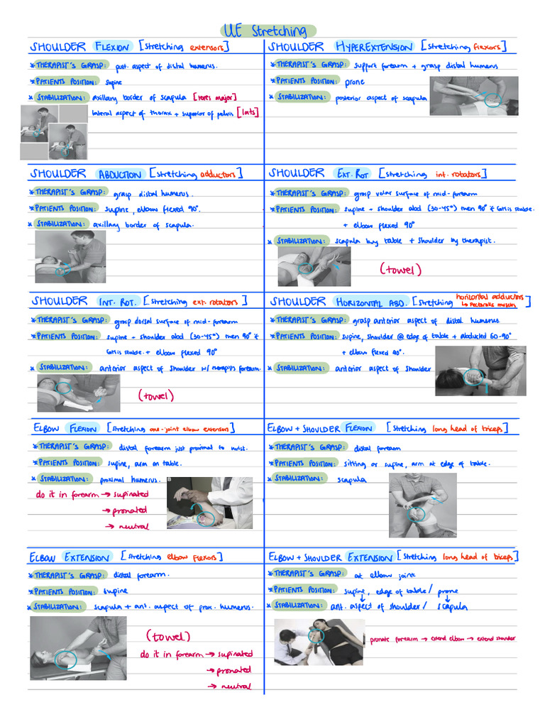 Stretching Notes | PDF