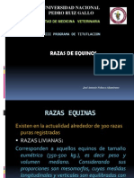 Razas Equinas