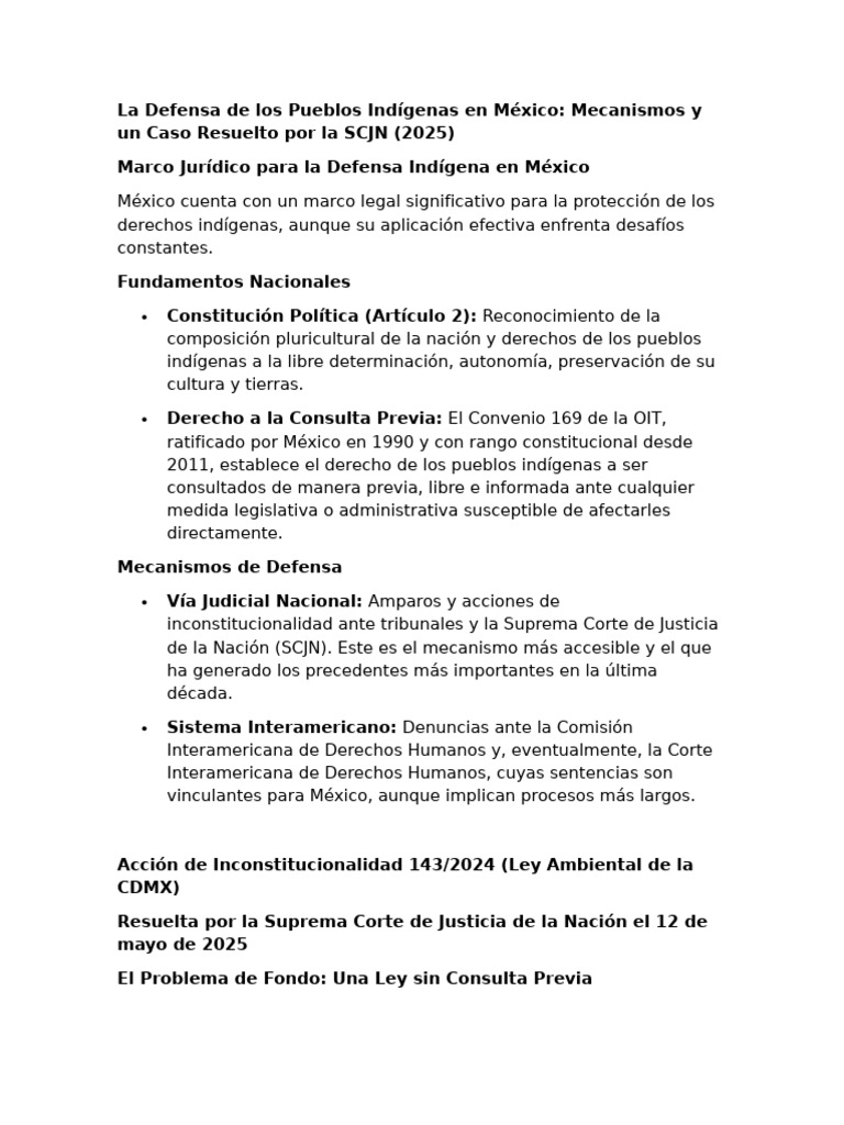 La Defensa de Los Pueblos Indígenas en México Info | PDF | México ...