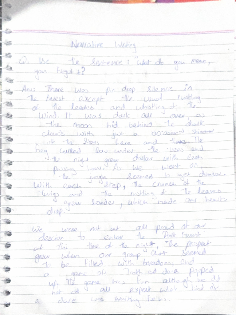 Narrative (2) by Rana Shayan | PDF