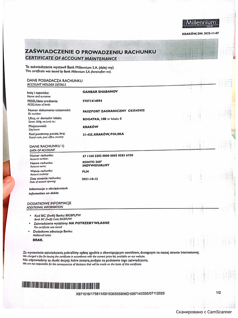 Bank Statement | PDF