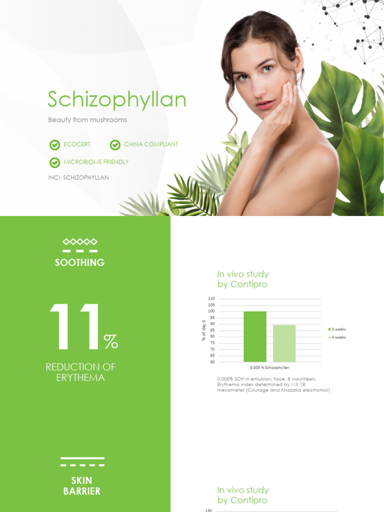 Schizo Phyl Lan | PDF | Solubility | Chemistry