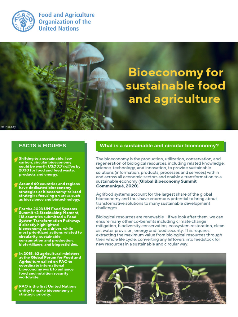 Content | PDF | Sustainability | Food And Agriculture Organization