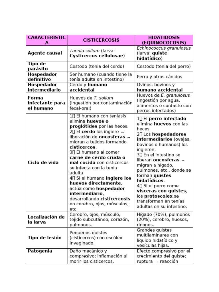 Caracter Ís Tica | PDF