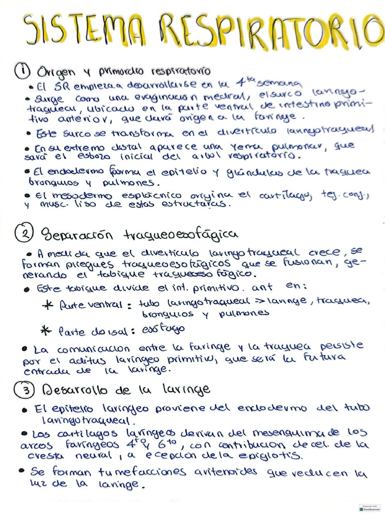 SIS Repira | PDF