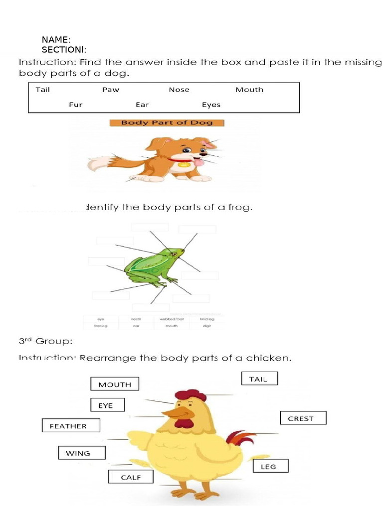Activity Science | PDF