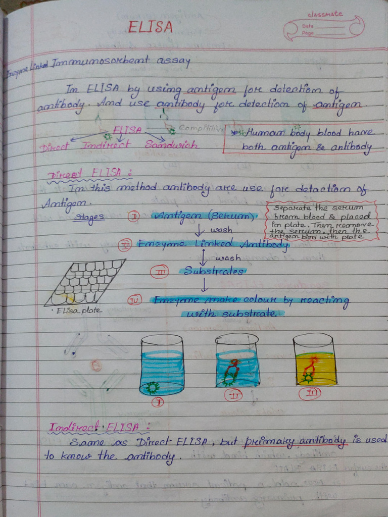 Elisa Note | PDF