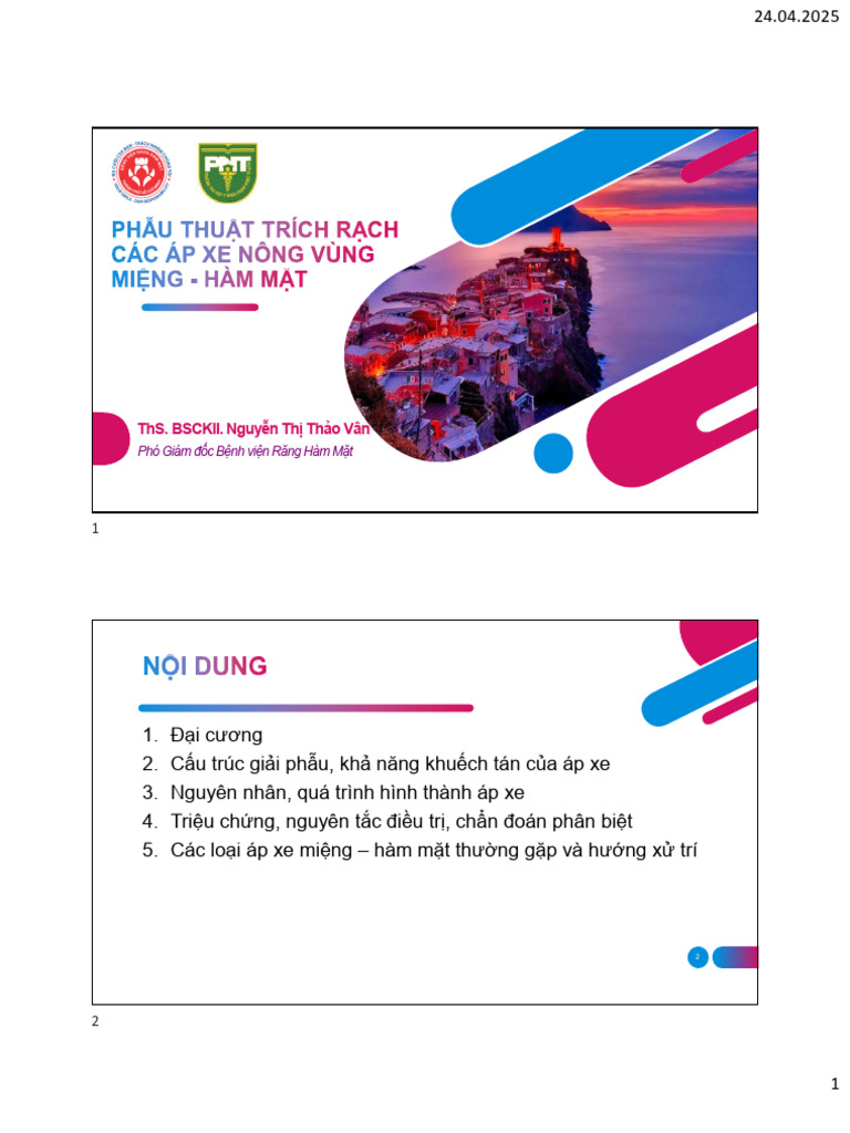 Trich Rach Ap Xe Vung Mieng Ham Mat | PDF