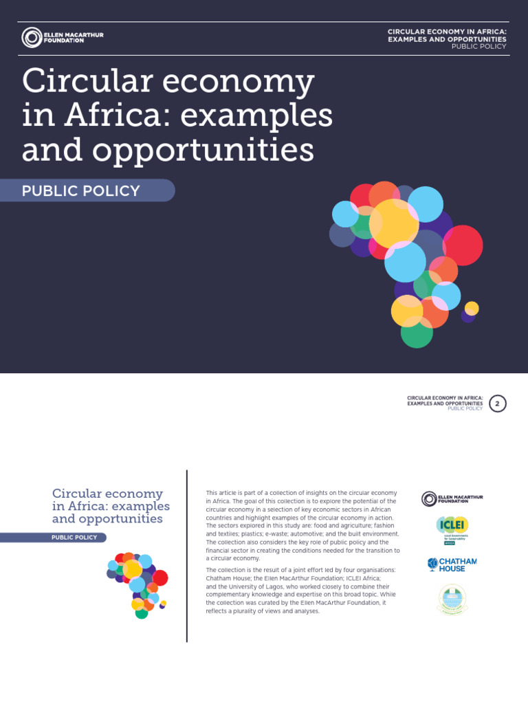 53circular Economy in Africa - Public Policy | PDF | Natural ...