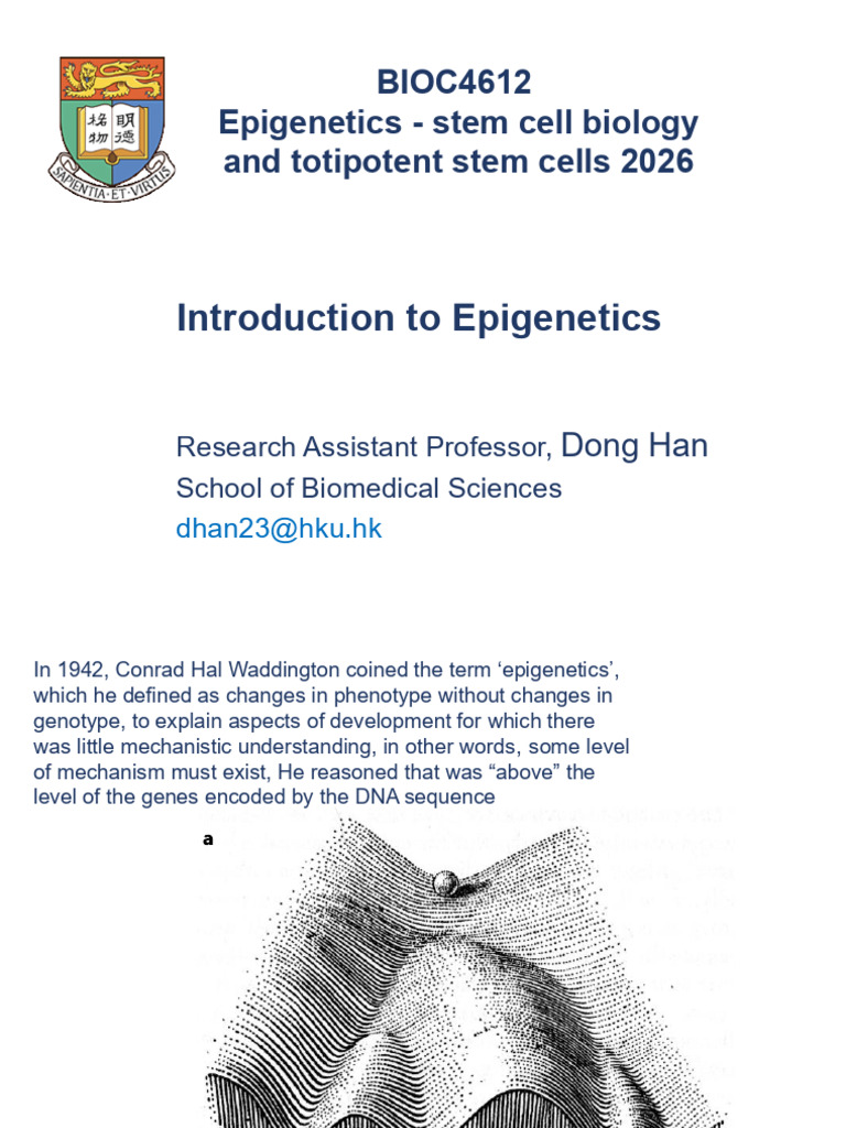 BIOC4612 L5 D Han Introduction To Epigenetics | PDF | Dna Methylation | Dna