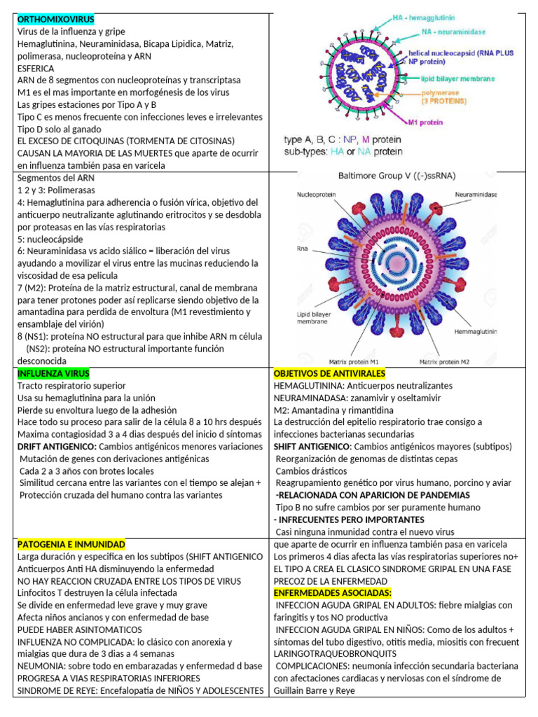 Ortho Mix o Virus | PDF | Influenza | Virus