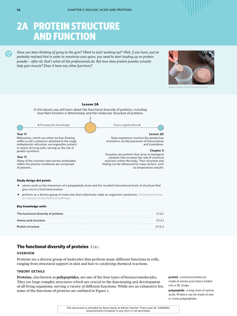 CH 2A - Protein Structure & Function | PDF | Coagulation | Proteins
