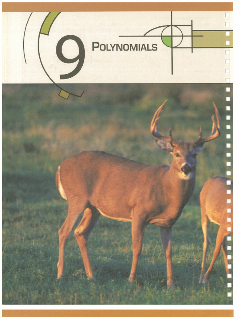 Ch9 Polynomials | PDF
