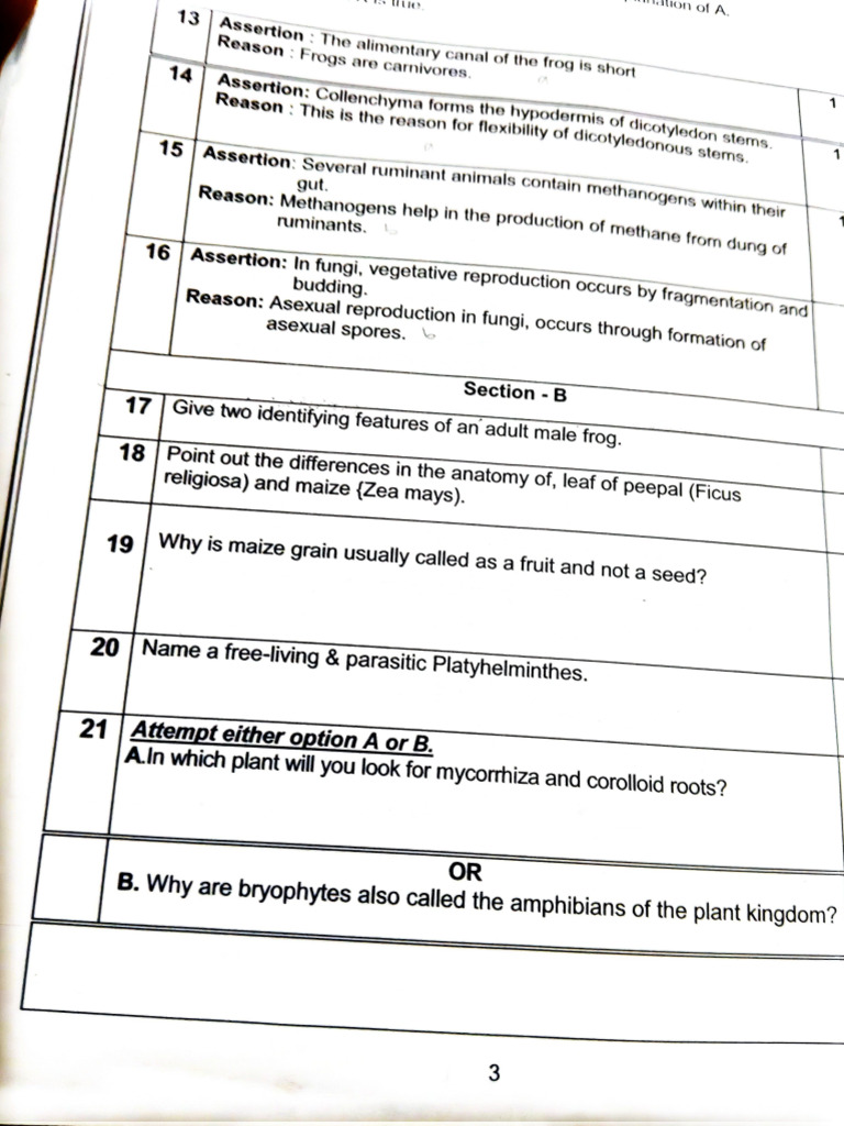 Term 1 | PDF