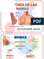 Anatomia de La Mama