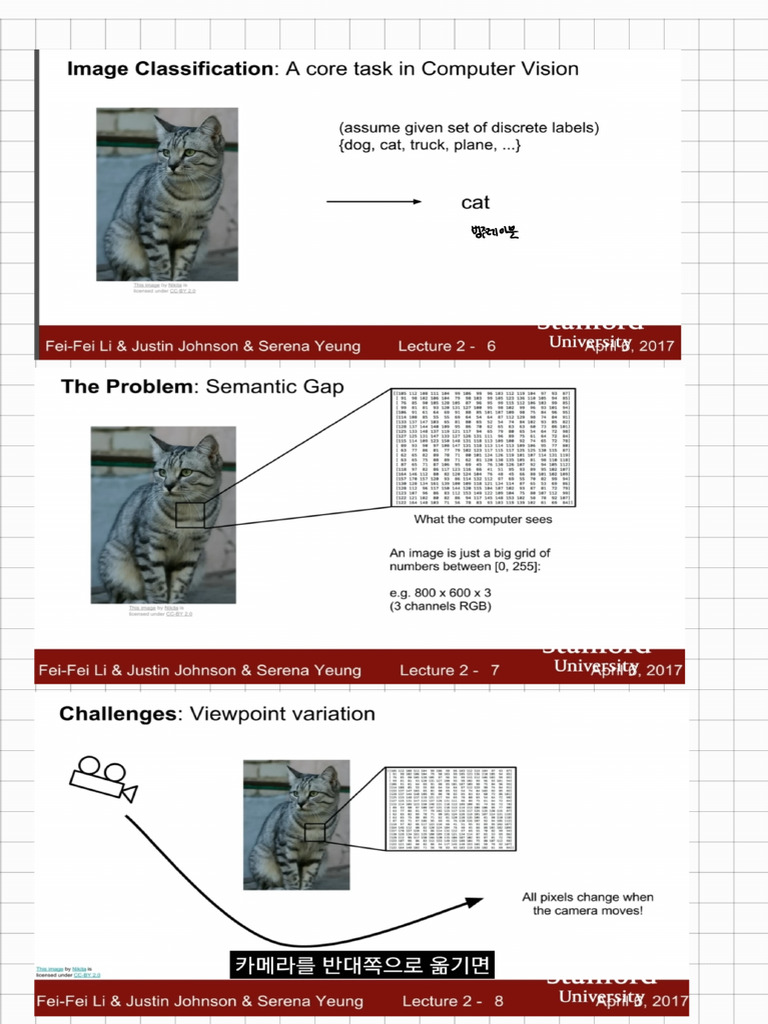 2 Image Classification 260225 154919 | PDF
