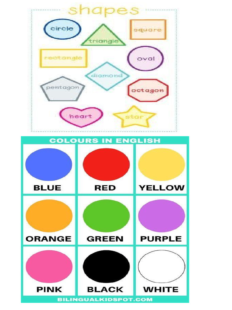 Shapes | PDF