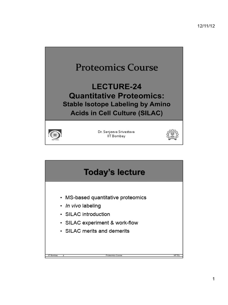Quantitative Proteomics SILAC | PDF | Proteomics | Proteins