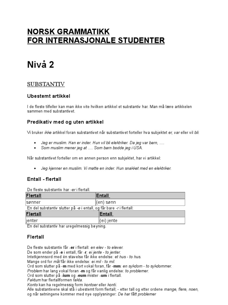 Norsk Grammatikk For Internasjonale Studenterniv 2 PDF