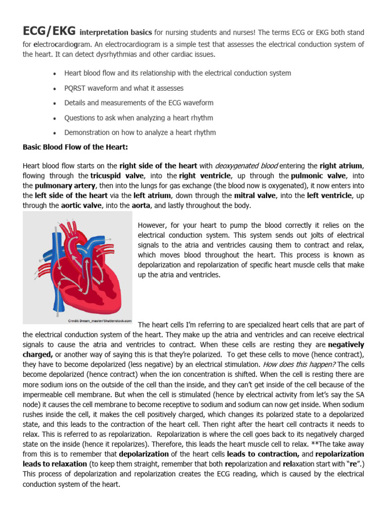MS 3 Midterm (Reviewer) | PDF | Heart Valve | Echocardiography
