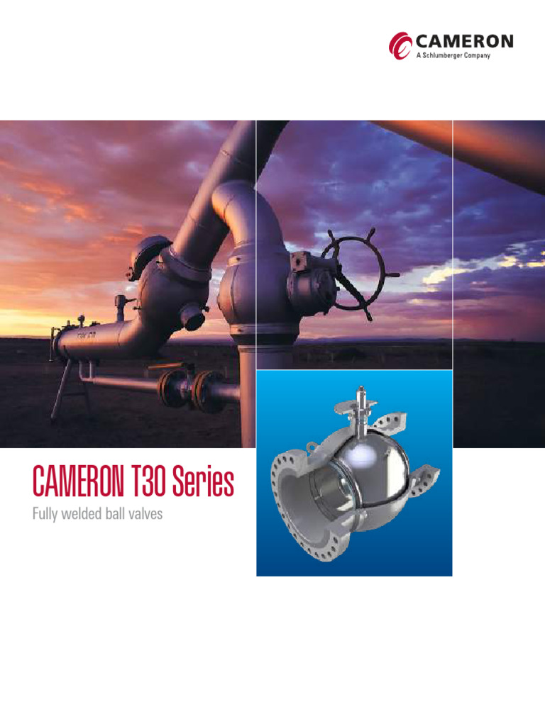 CAMERON T30 Series: Fully Welded Ball Valves | PDF | Clubs And ...