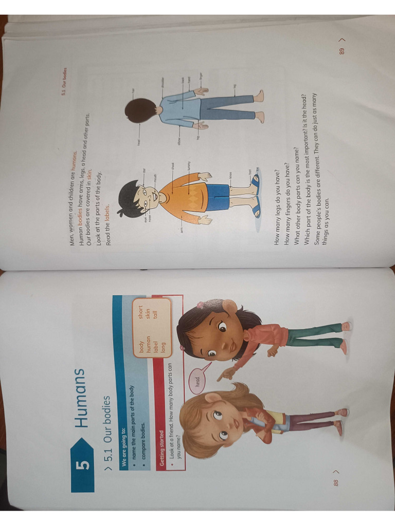 Year 1 Science | PDF