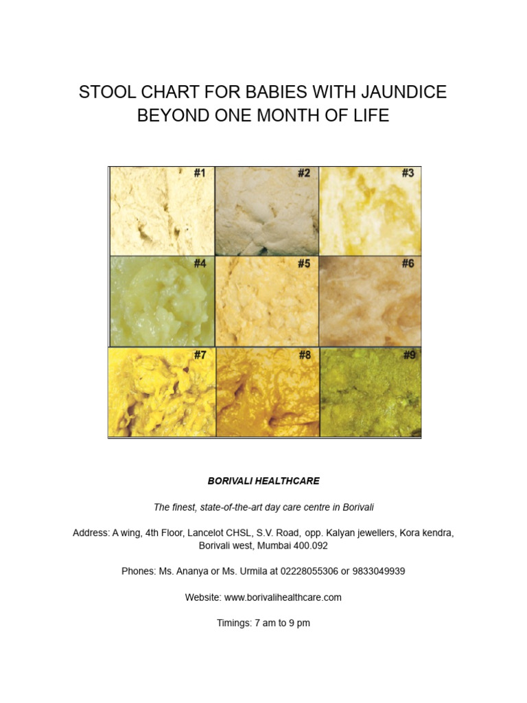 Stool Chart | PDF