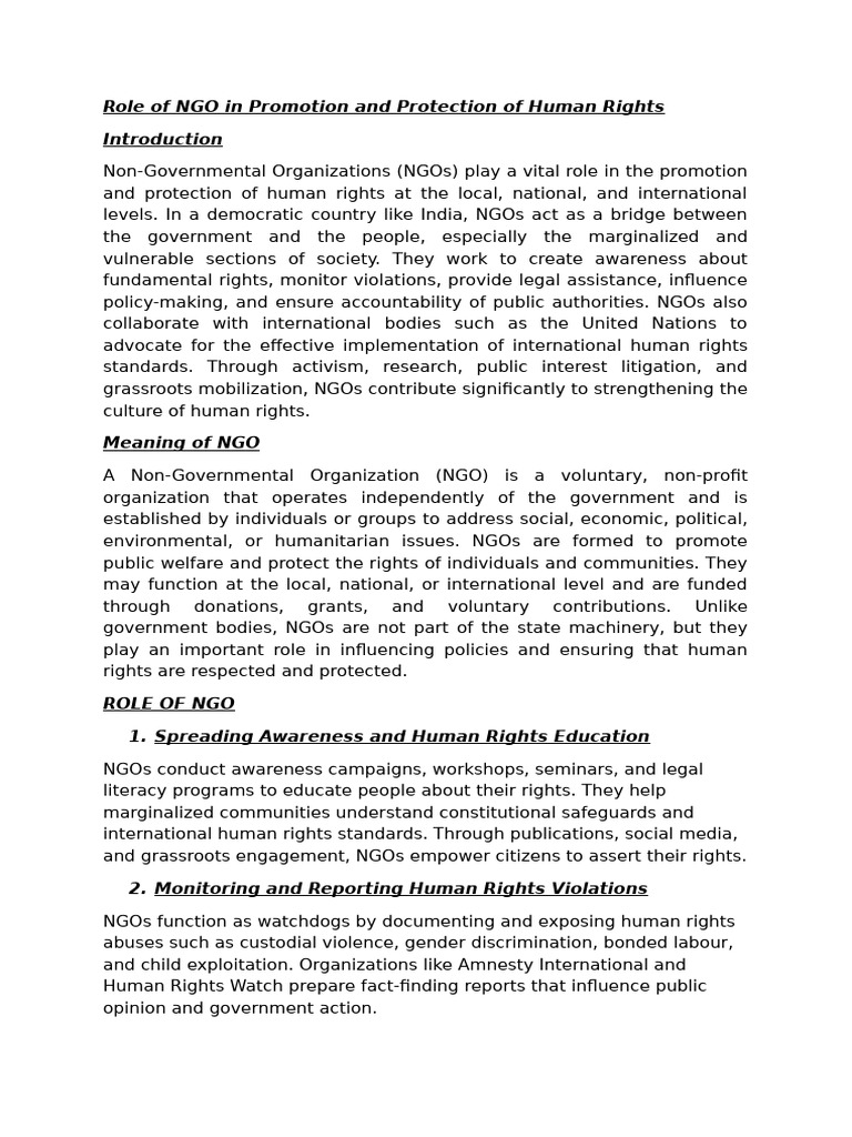 Ngo | PDF | Non Governmental Organization | Human Rights