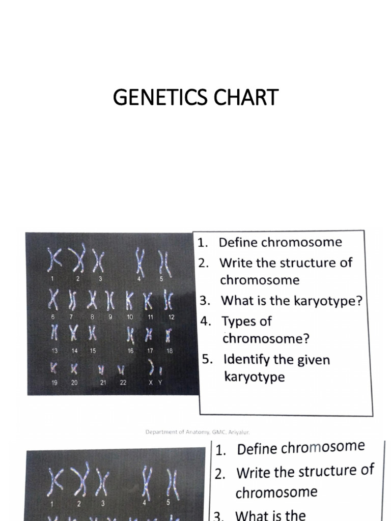 Genetics Charts | PDF