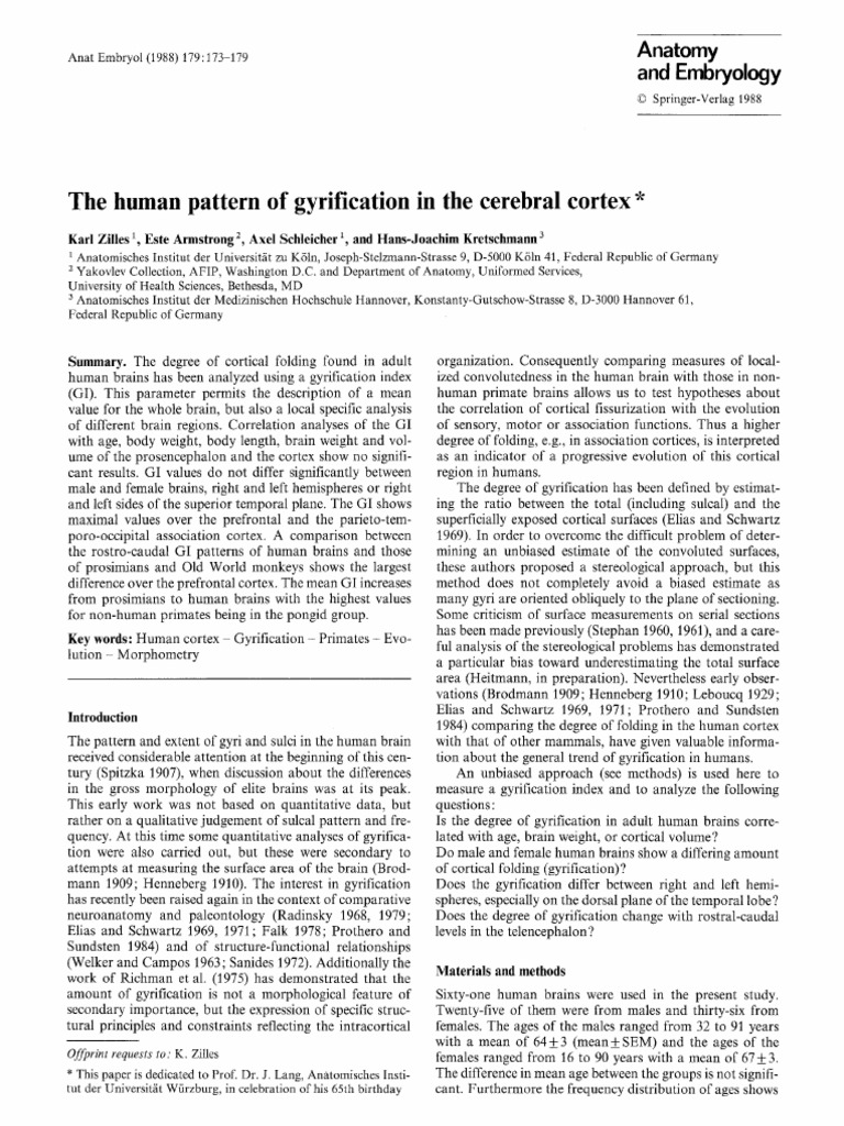 03-全局GI-The Human Pattern of Gyrification in the Cerebral Cortex | PDF ...