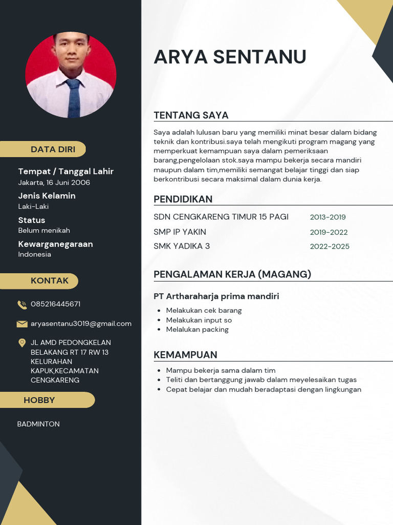 CV Arya Sentanu | PDF