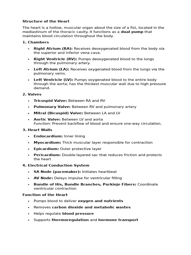 Structure of The Heart - 015433 | PDF | Heart | Heart Valve