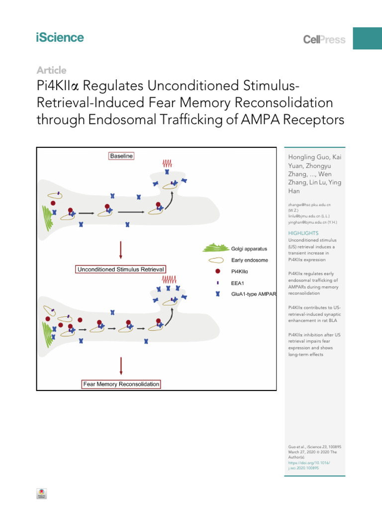 Pi4KII Regulates Unconditioned Stimulus Retrieval Induced Fear Mem 2020 ...