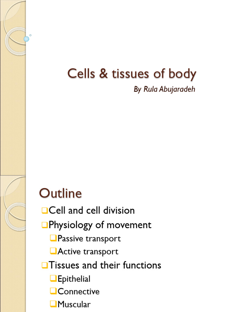 2 Cells & Tissues of Body | PDF | Epithelium | Connective Tissue