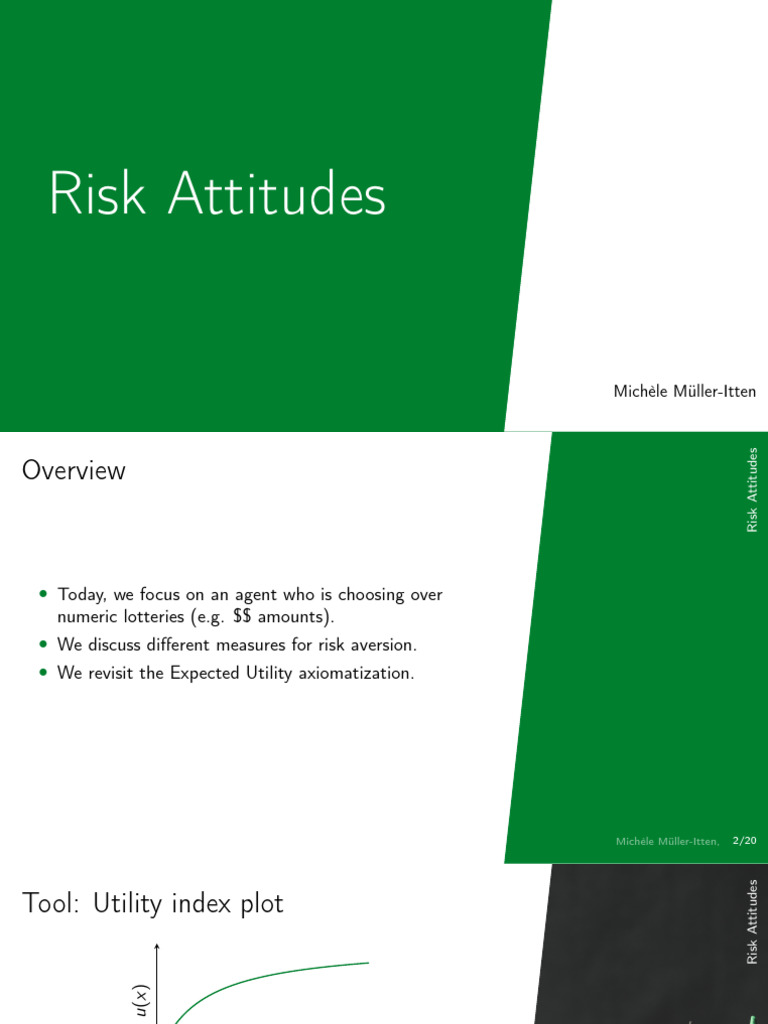 M3 03 RiskTolerance Handout | PDF | Risk Aversion | Utility