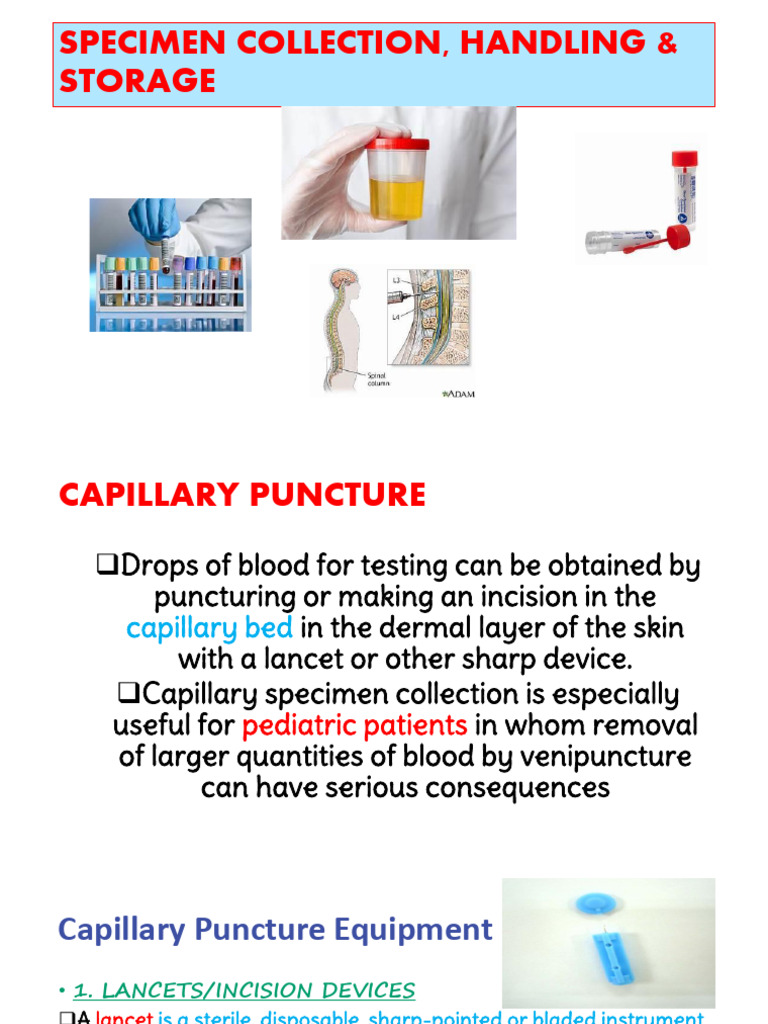 6. CAPILLARY PUNCTURE | PDF | Blood Plasma | Vein