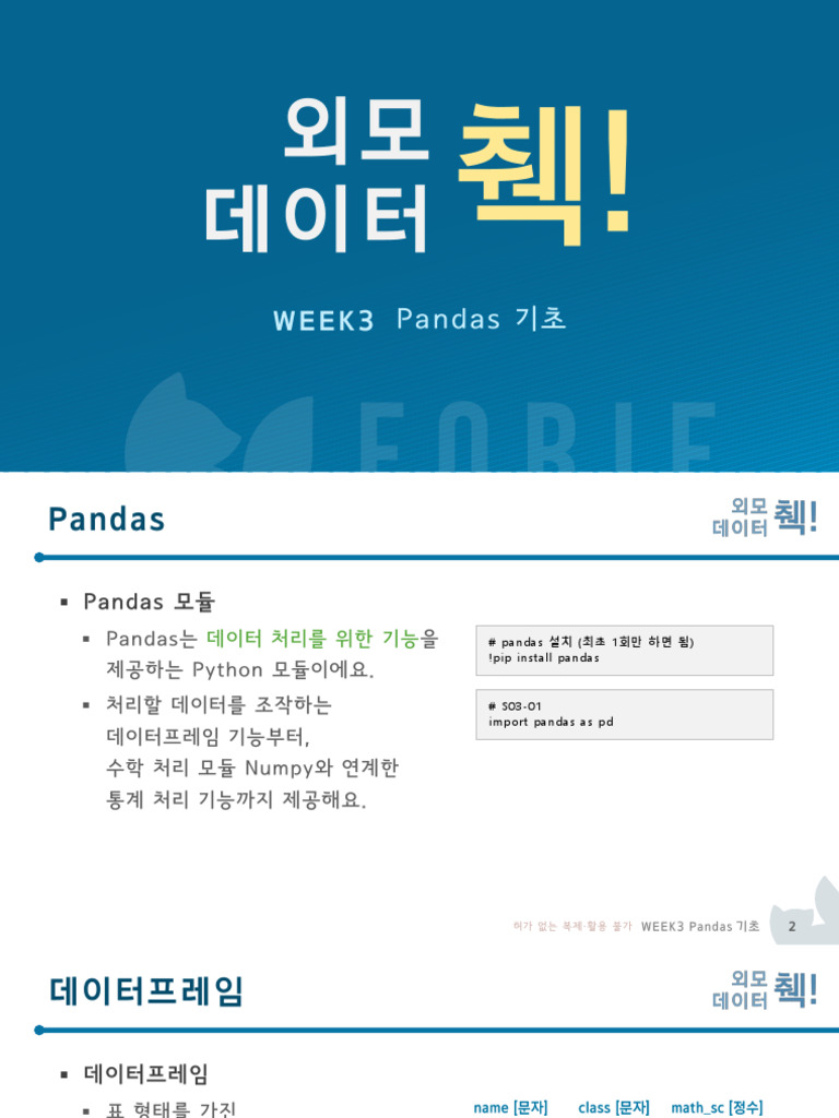 WEEK3 Pandas 기초 | PDF