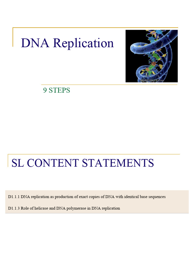 01 - DNA Replication - PDF Biology Ib SL | PDF | Dna Replication ...