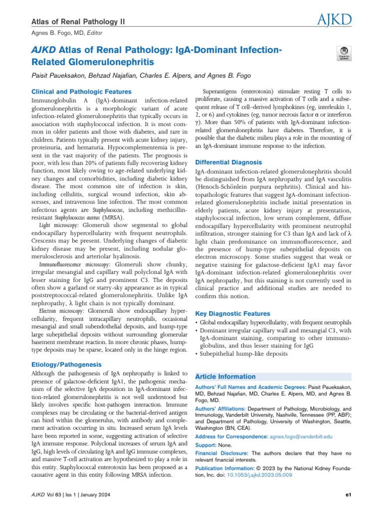 AJKD Atlas of Renal Pathology IgA Dominant Infect | PDF | Kidney ...